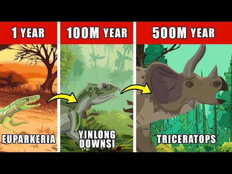 Triceratops Origin Evolution: How Triceratops Could Have Evolved