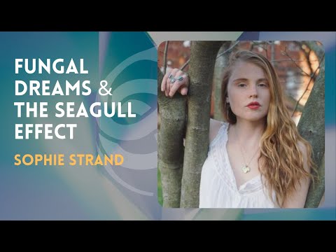 Excerpt - Fungal Dreams and the Seagull Effect with SOPHIE STRAND
