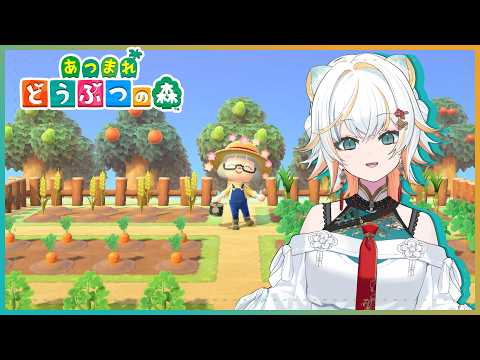 【あつ森】ゆる〜く島づくり🪴✨ ACNH Chill Stream【虎神大雅 | ChromaSHIFT】