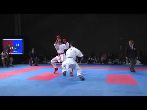 2015 USANKF 16-17 Elite Kumite Final -76 Kg Euzebiusz Wasowics vs Ariel Torres