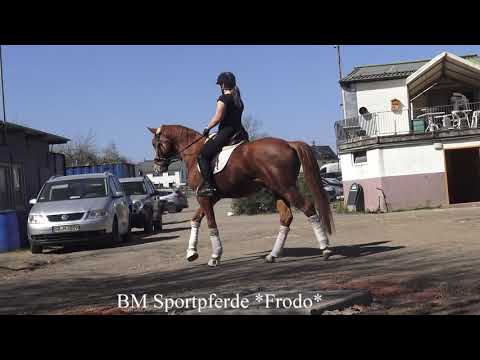 2021 April Wallach Fashion Maker geb 2016