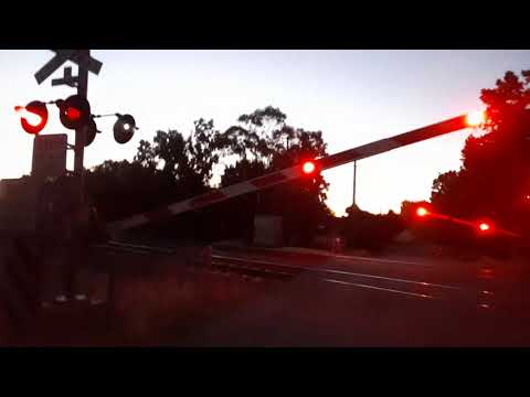 V/line (N453) in the city of Albury