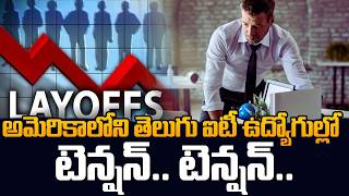 US Layoffs Shock || Indian Students Situation in America Explained | SumanTV Classroom