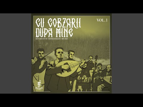 Ce cauti tu in viata mea