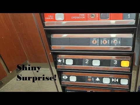 [EL] 2 Shiny 2004 Thyssenkrupp Impulse Hydraulic Elevators at High Point Pediatrics (High Point, NC)