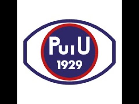 Puiu P08