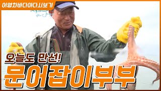 오늘도 만선!! 돌문어 잡는 진도 부부 #태풍에 집이 날아가버린 진도 부부 #작은 문어는 더 키워서 팔면 돼…