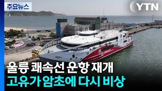 울릉 쾌속선 '재개'에 반색...고유가 '암초'에 비상 / YTN