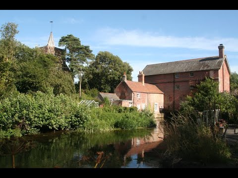 Ray Walton - HAMPSHIRE  AVON, SOPLEY MILL STREAM, SOPLEY, HAMPSHIRE