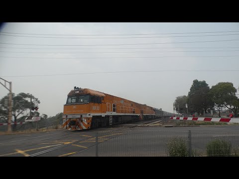 2TA8 GREAT SOUTHERN Down Train With Loco NR31-NR30