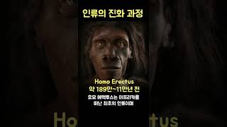 1분 만에 보는 600만 년의 인류진화 과정