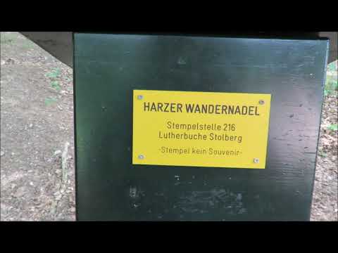 Stempelstelle 216 Lutherbuche Stolberg - Harzer Wandernadel
