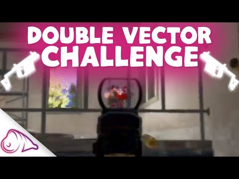 A Double Vector CHALLENGE | Hambinooo PUBG Gameplay