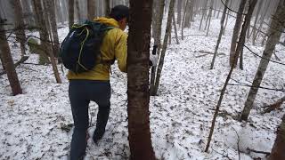 胴島尾根標高2100m付近