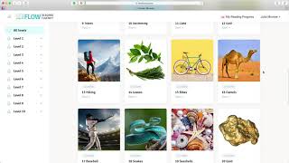 Flow Reading Fluency: Student Interface