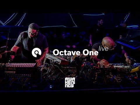 Octave One Live