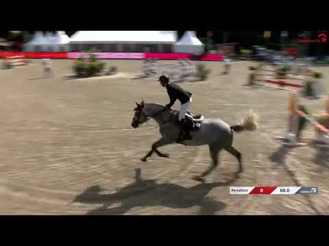 Daddy Cool Ter Linden Z