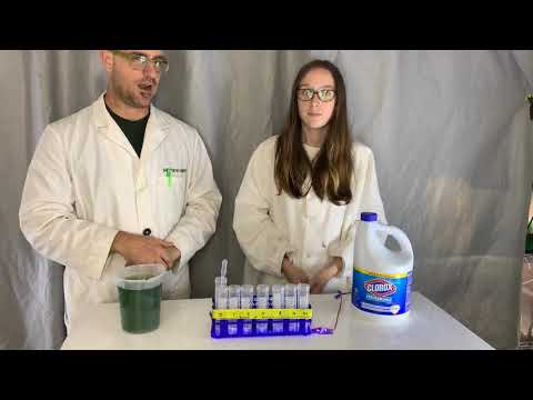 Algae and Bleach LD50