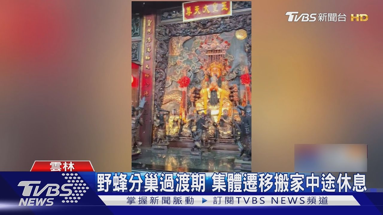 群蜂盤旋天公爐上方 網笑:蜂拜玉皇大帝