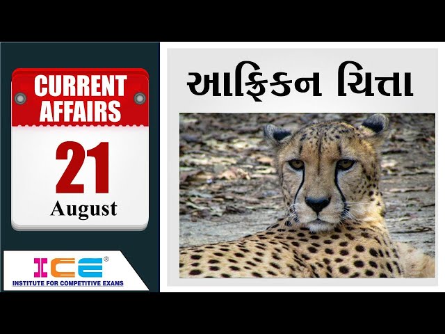 21/08/2020 - ICE Current Affairs Lecture - African Leopard