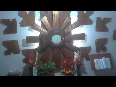 Adoración Eucarística Perpetua en vivo - 11 años