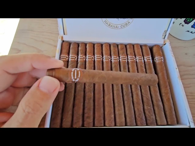 سيجار رافاييل غونزاليس بانتيللاس إكسترا كوبي