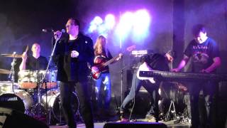 STARGAZER Run with the wolf