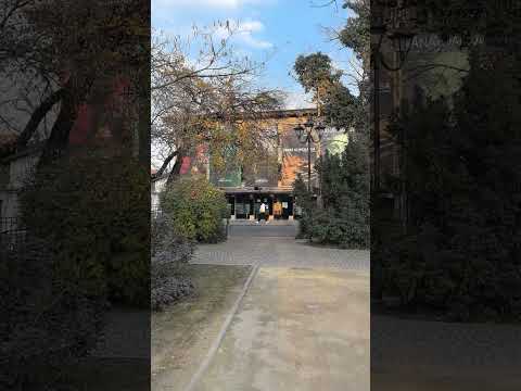 cate ceva despre Gradina Icoanei 2025