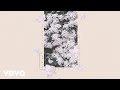 Shawn Mendes - Why (Remix - Official Audio) ft. Leon Bridges
