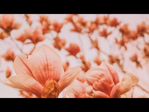 Ti.Pi.Cal - Tomorrow (feat. Darren Barley)