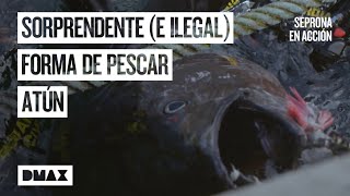 Thumbnail del capítulo