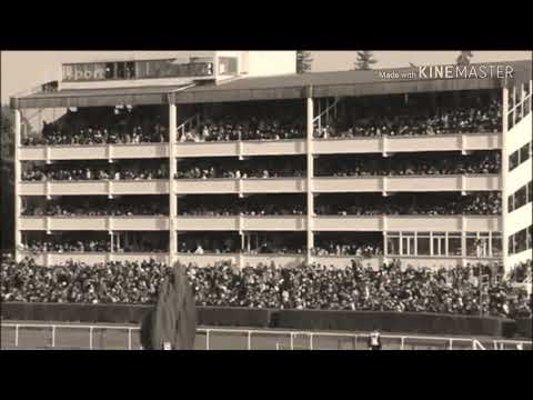 14.10.2018 se poběží již 128. Velká Pardubická!