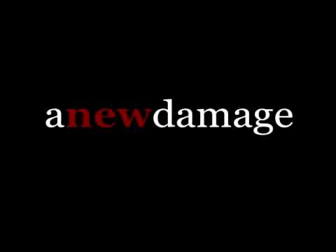 Anewdamage - Other trans of president