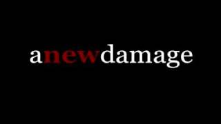 Anewdamage - Other trans of president