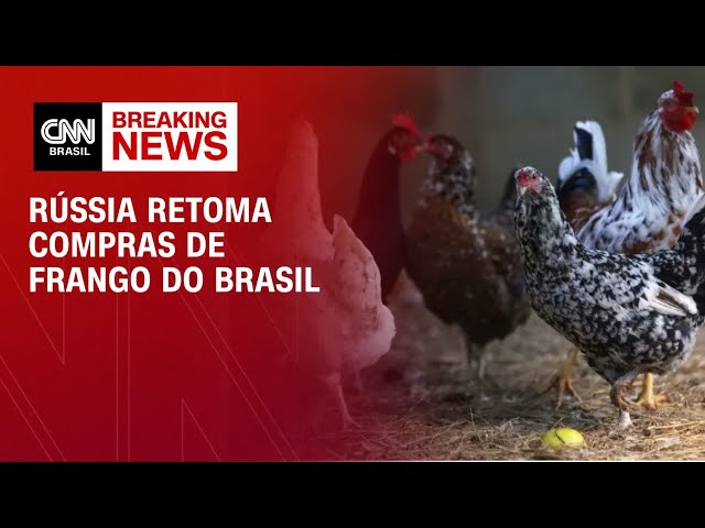Rússia retoma compras de frango do Brasil, mas mantém embargo ao RS | FECHAMENTO DE MERCADO
