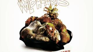 The Wildhearts - 29 X The Pain '96