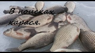 Озеро чистое курганская область рыбалка