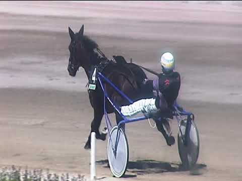 Trotto 17/05/2019 - 1ª corsa