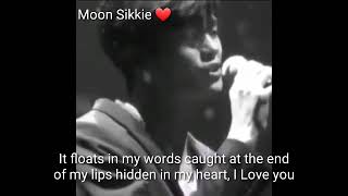 Because of you stage [박형식] Parkhyungsik -  (english lyrics)