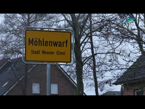 Möhlenwarf: Fünf Fakten