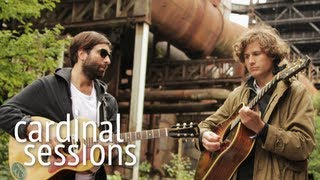 Shout Out Louds - Sugar - CARDINAL SESSIONS (Traumzeit Festival Special)