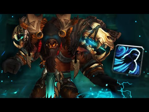 Elemental Shaman CHALLENGES An Indomitable Paladin! (5v5 1v1 Duels) - PvP WoW: The War Within