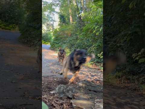 Carpe Diem (seize the day)