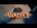 WACECE? Full video Lyrics, Sultan Abdurrazaq,Halifa SK,By Zainu Crypto