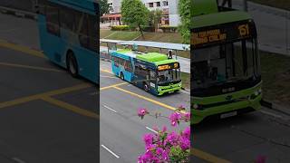 SG3133T 151 Pimco FBA departing Clementi Rd for Hougang Ctrl Int #bydb12 #sbstransit #bus #sg