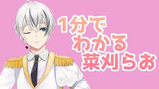 #32　1分でわかる菜刈らお　【VTuber】