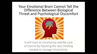 What Does it Take to Turn Trading Into the Freedom You Seek