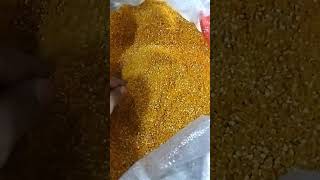 Download lagu BERAS JAGUNG | MENIR JAGUNG#shorts mp3 Download lagu BERAS JAGUNG | MENIR JAGUNG#shorts mp3