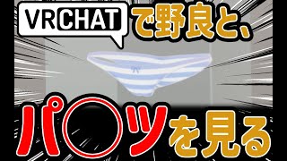【VRChat】NAGiSAで知り合った野良と縞パンを見に行ってみたww【再UP】