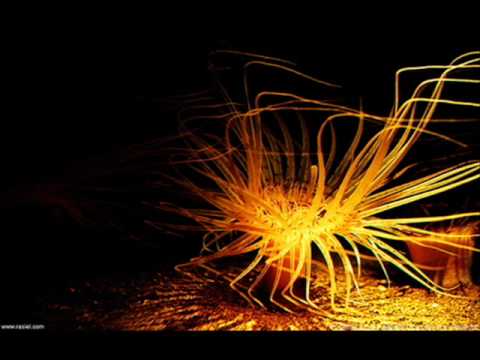 #Hardstyle - Shimmy Shake Silver Nikan remix